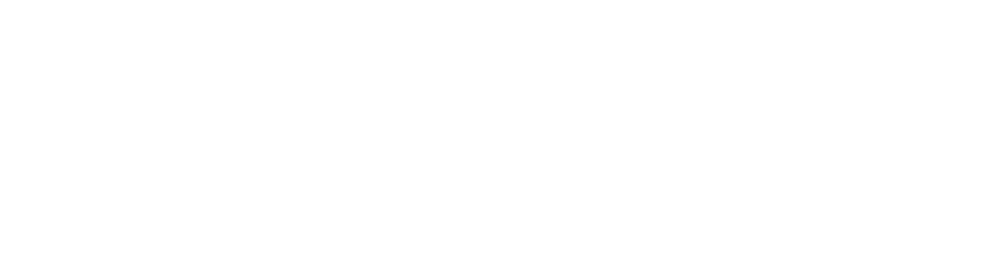 reblaus.ws